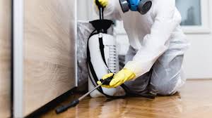 Best Real Estate Pest Inspections  in Bolivar, OH